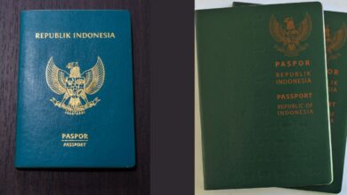cara membuat paspor online